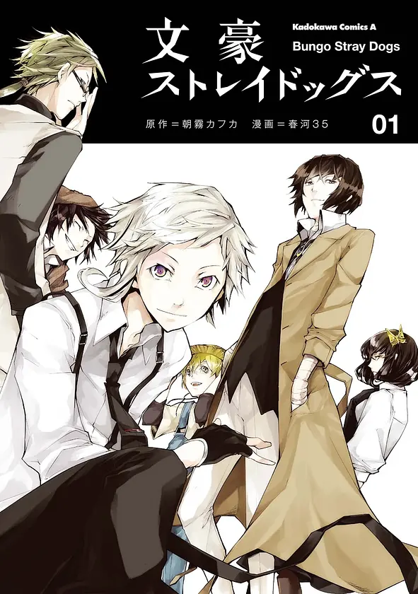 Bungou Stray Dogs cover