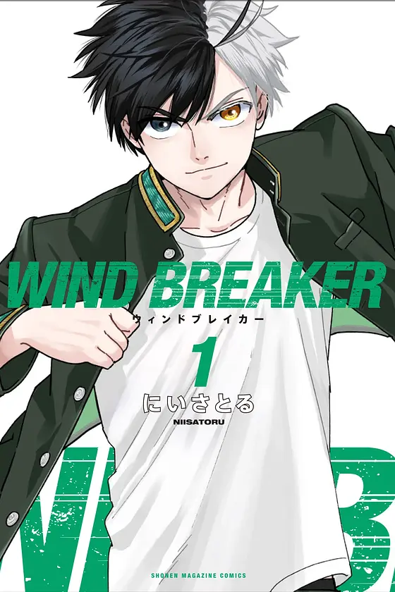 Wind Breaker cover